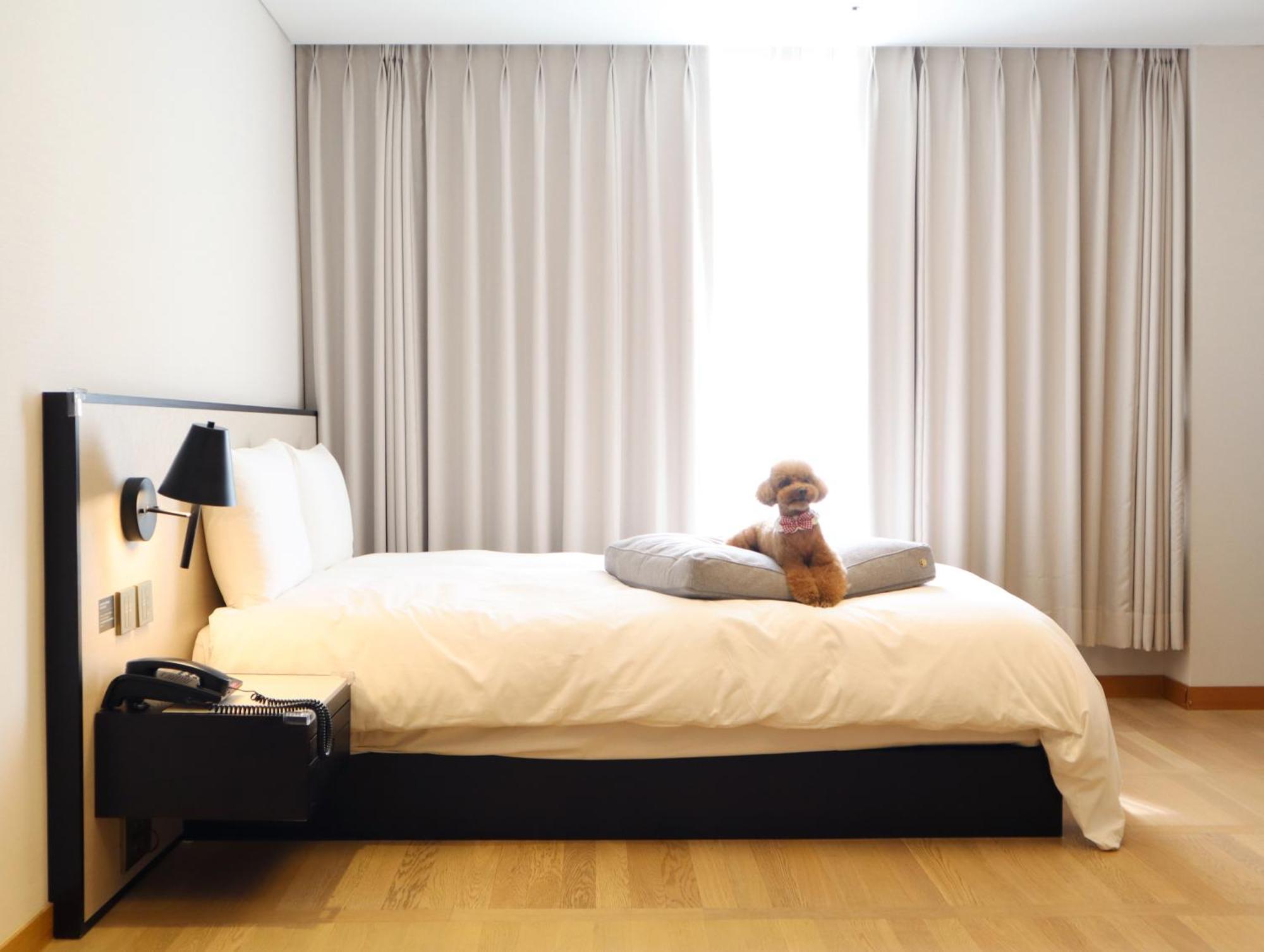 Maison Glad Jeju Ngoại thất bức ảnh
