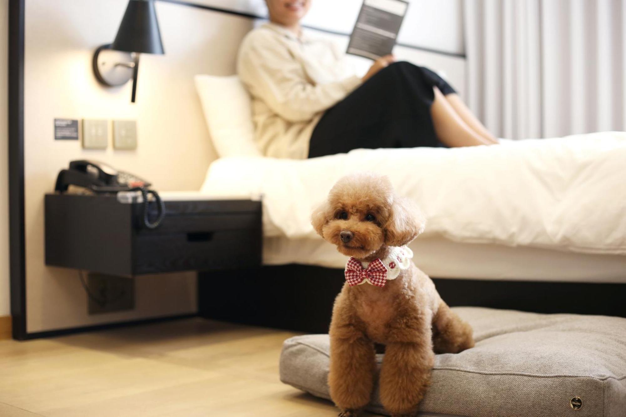 Maison Glad Jeju Ngoại thất bức ảnh