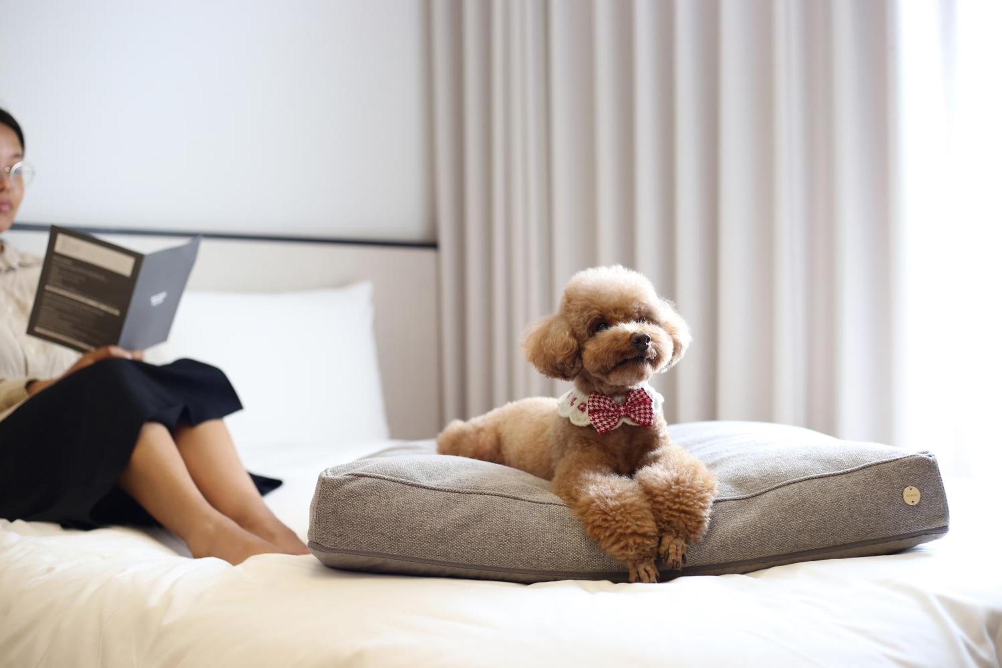 Maison Glad Jeju Ngoại thất bức ảnh